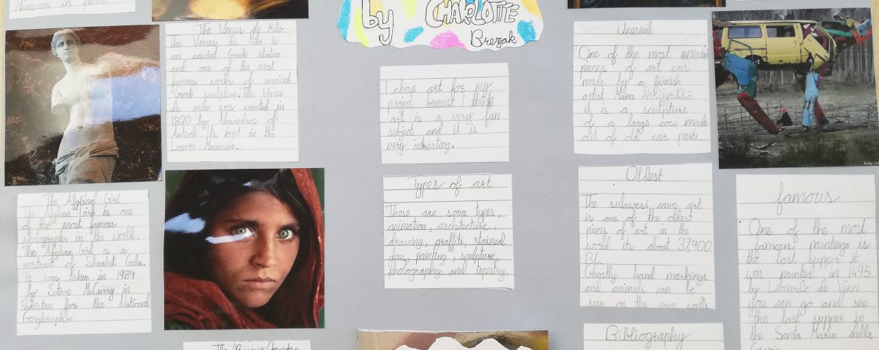 Passion Projects in Scoil Bhríde.